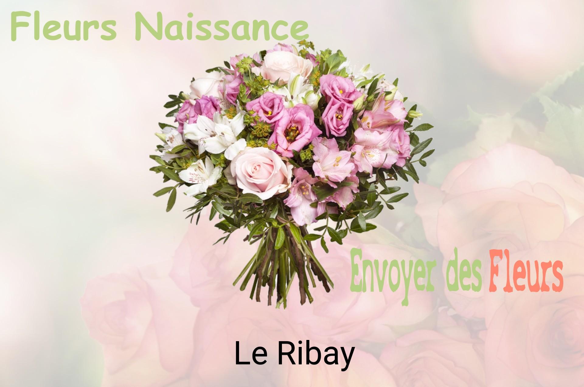 Bouquet de fleurs de naissance livré à Le Ribay