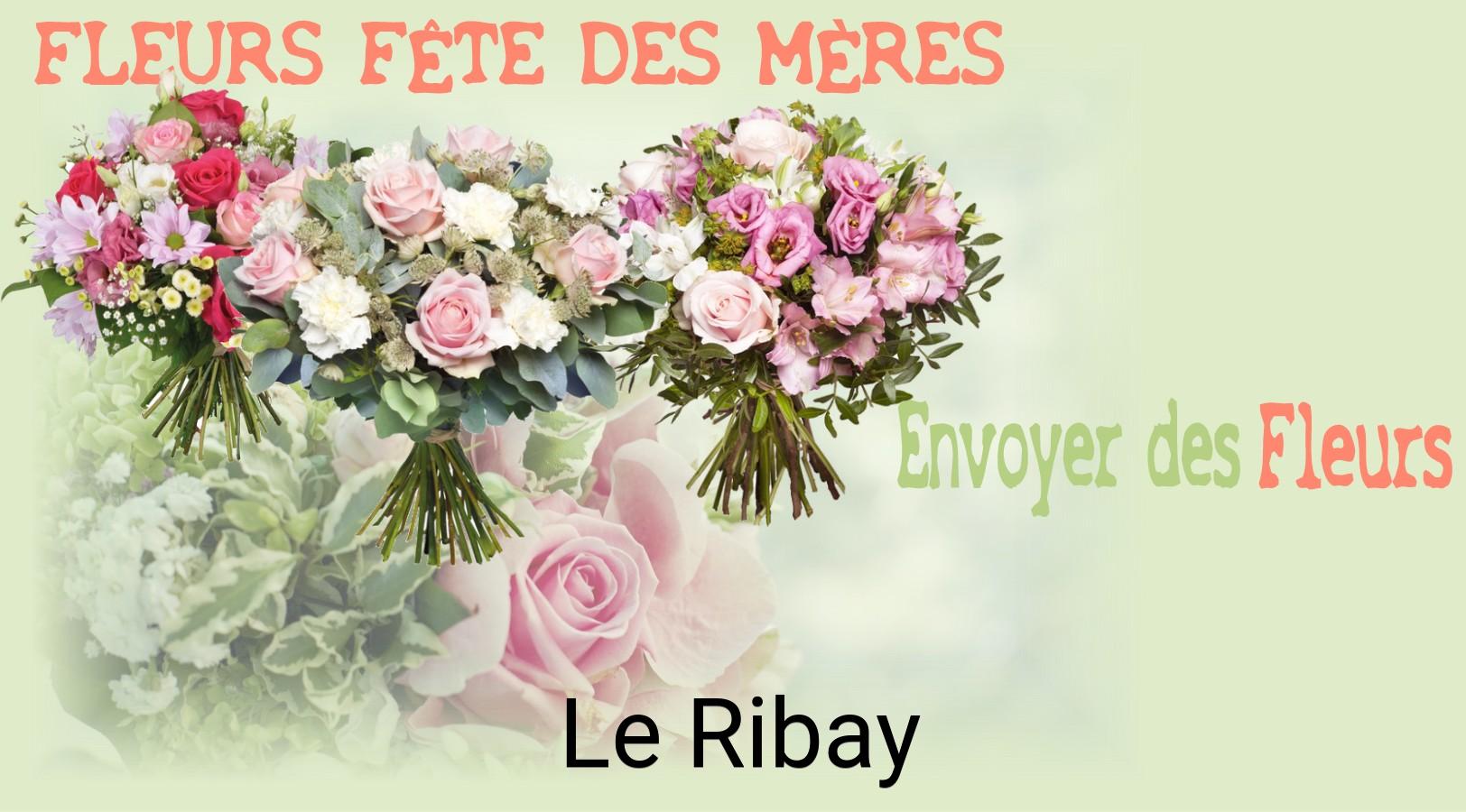 Bouquet de Fête des Mères livré à Le Ribay